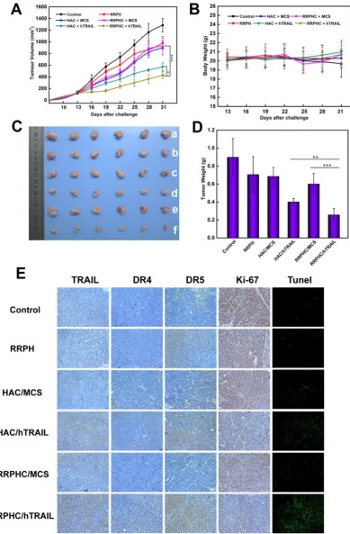 Figure 12. In vivo anti-tumor activity evaluation. (A) Inhibition of tumor growth in the tumor model with the HCT 116 xenograft after treatment with different formulations