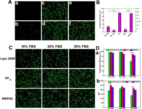 Figure 6. Transfection efficiencies of various complexes in HCT 116 cells at 24 h. (A) Comparison of various complexes in serum-free medium, PEI 1.8K/pGFP (a), PEI 25K/pGFP (b), PFmedium by flow cytometry