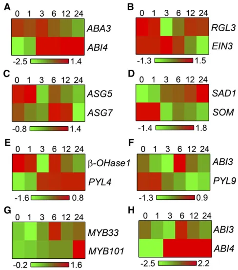 Figure 6. Expression Patterns of Genes Connected in SCoPNet over aTime Course of Seed Germination.