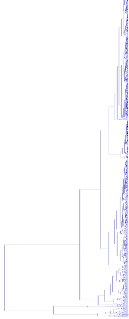 Figure 4.  Hierarchical clustering 