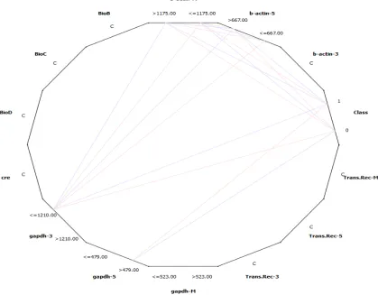 Figure 1.  ROC Analysis graph using kNN alogorithm 