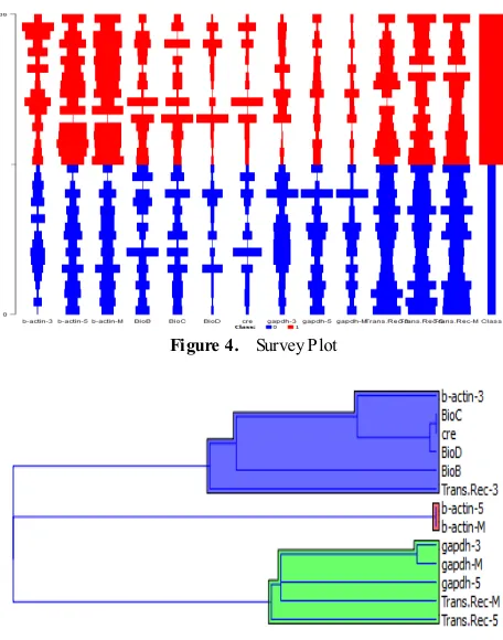 Figure 4.  Survey Plot 