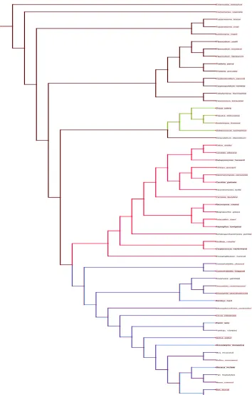 Figure 2.13: ML tree of 54 eukaryotes without branch lengths created from a super matrix of the concatenated alignments of all genes listed in Table 2.5