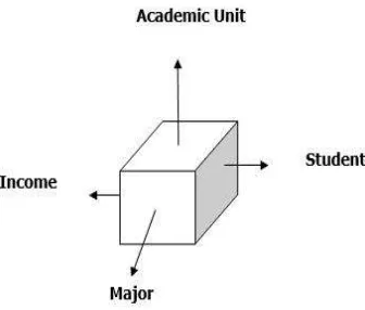 Figure 1. Cube of income enrollees’ university education system 