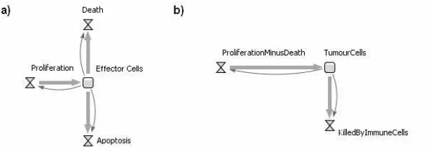 Fig. 6. Stock and ﬂow diagram for eﬀector cells (a) and tumour cells (b).