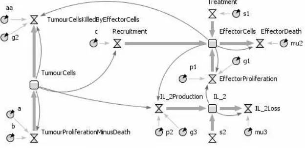 Fig. 1. Equations 1, 2 and 3 converted into stock and ﬂow diagrams (squares = stocks,hourglasses = ﬂows, circles = parameters and arrows = information ﬂows).