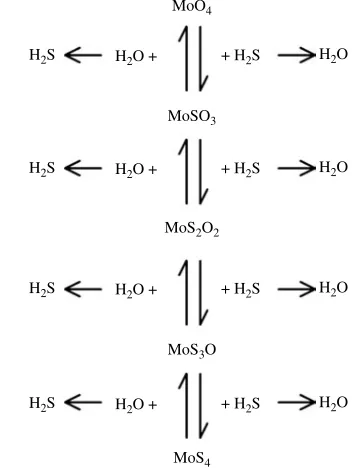 Fig. 2. Reactions that occur to form thiomolybdate in the rumen. The reac-tions are reversible