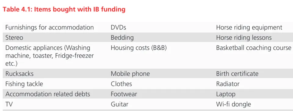 Table 4.1: Items bought with IB funding