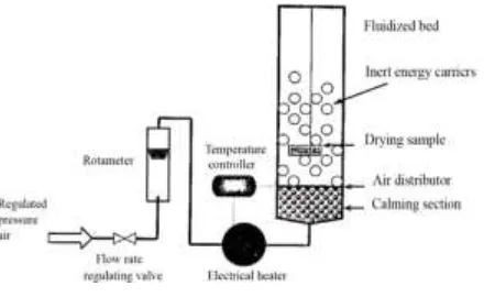 Fig. 2: Schematic diagram of Fluidized Bed Drying 