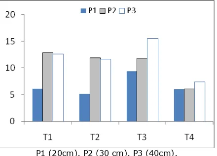 Figure 5. Interaction effect of (a) plant spacing and weed control treatments (P x T) for number of fruit plant-1 in tomato crop at lower 