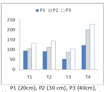 Figure 2. Interaction effect of plant spacing and weed control treatments (PxT) for weed biomass kg ha-1 in tomato crop at lower 