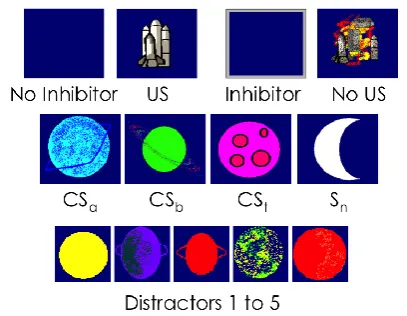 Figure 1: The screen shots used during the Mission to Mars task.  