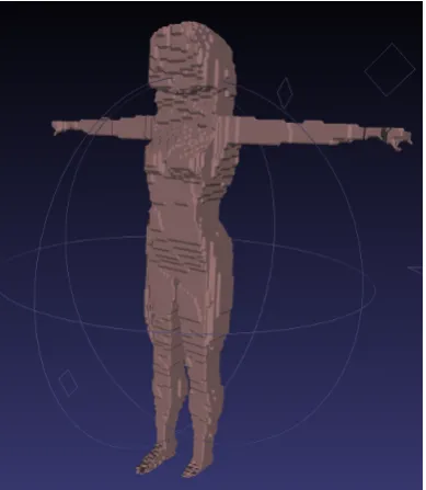 Figure 2.3: Early volumetric reconstruction performed in simulation from syn-thetic model and virtual cameras.