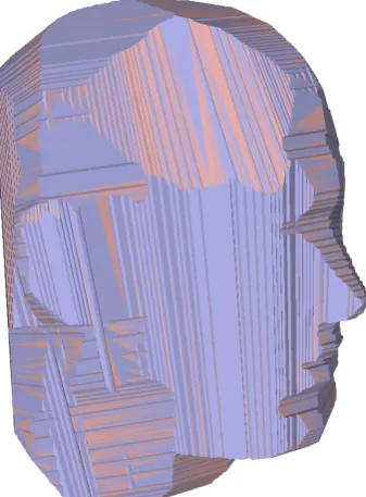 Figure 2.4: Early EPVH reconstruction performed in simulation from a syntheticmodel and virtual cameras.