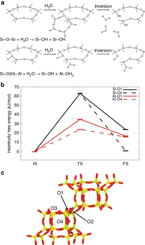 Fig. 1 Calculated mechanism and energetics for the hydrolysis of bonds insimultaneously with the non-dissociative water adsorption on Al in the anti-position to a Bronsted acid site followed by inversion of the AlOand Sithe four crystallographically distin
