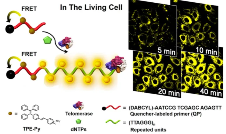 Figure 9. Schematic illustration of AIE-based one-pot fluorescent assay. Reprinted with permission from ref