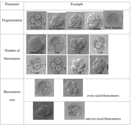 Table 1.1 Parameters of embryo quality