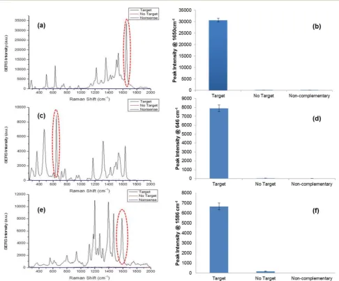 Fig. 2SERS spectra obtained from single pathogen detection using the SERS assay: (a) SERS spectra of TAMRA observed when detectionS