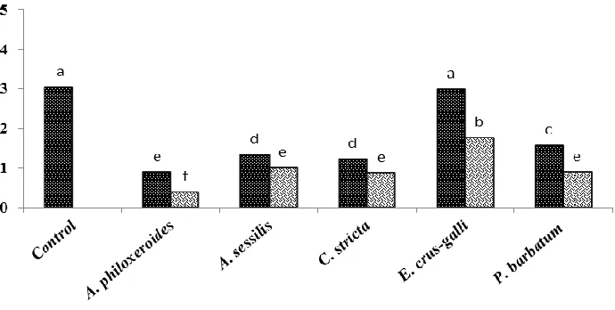 Figure 12. Root length (cm)