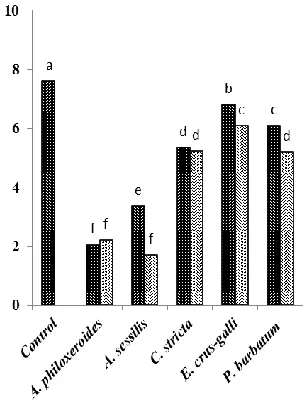 Figure 5. Root length (cm)