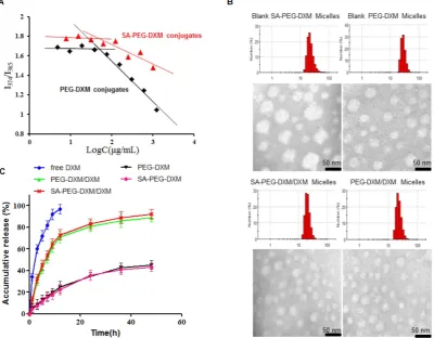 Figure 2. Preparation and characterization of SA-PEG-DXM micelles. (A) The relationship of variation of fluorescence intensity ration (ISA-PEG-DXM and PEG-DXM conjugates