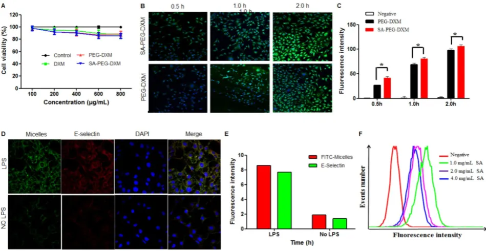 Figure 3. Assessments on targeting function of SA-PEG-DXM micelles in vitro. (A) In vitro cytotoxicity assay