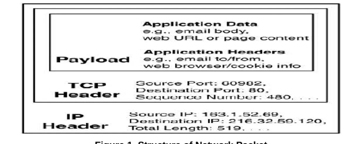 Figure 1. Structure of Network Packet 
