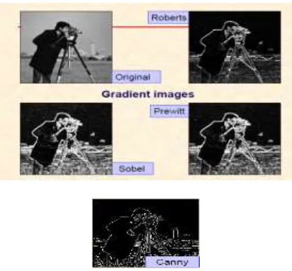 Fig 4. Gradient images using different edge detection techniques 