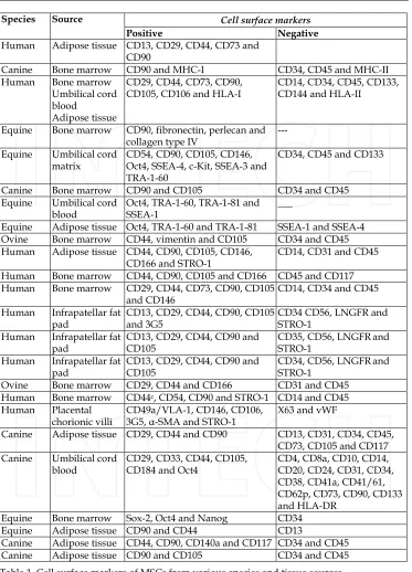 Table 1. Cell surface markers of MSCs from various species and tissue sources.  Data from Penny et al., (in press) 