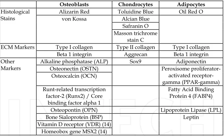 Table 2. The main histological, ECM and phenotypic markers of osteoblasts, chondrocytes and adipocytes differentiated from mesenchymal stem cells
