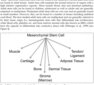 Figure 4).  