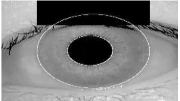 Figure 1.2 Example of segmented Image. 