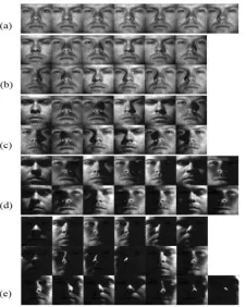 Fig 2  One of the subjects in the Extended Yale B database with its  5 subsets  
