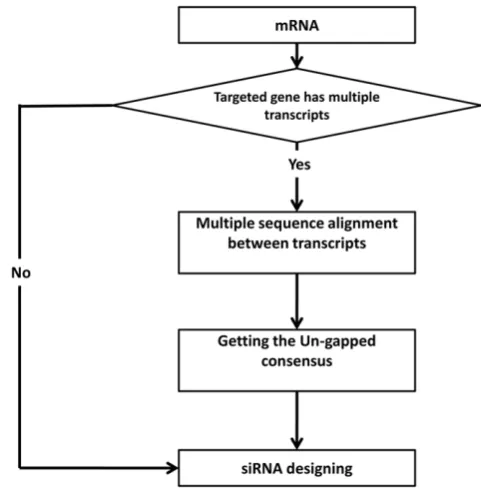 Figure 3. Decision flow of targeted gene’s multi-transcriptfiltration phase implemented inDesignertranscripts, if such cases, I get the other transcripts using NCBI blast,and perform multiple sequence alignment to these sequences