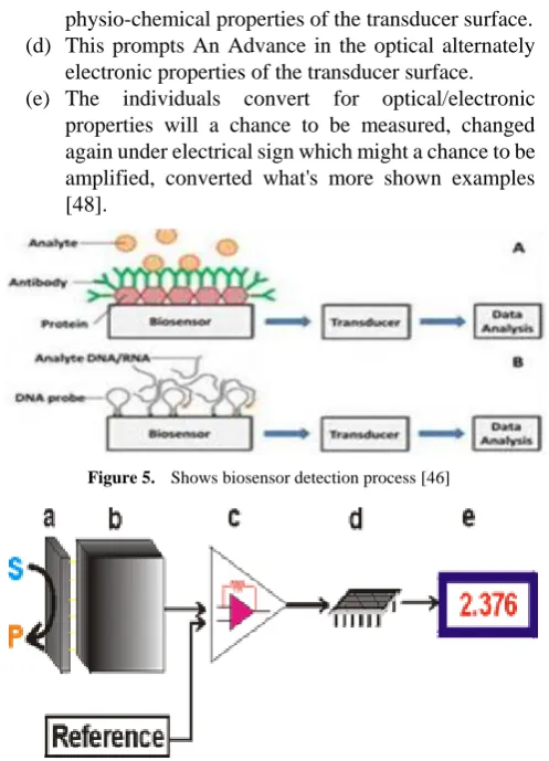 Figure 5.  Shows biosensor detection process [46] 