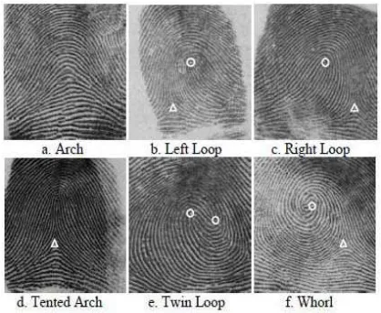 Fig. 2. Fingerprint Classification 