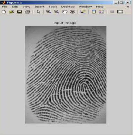 Fig. 4. Input Image 