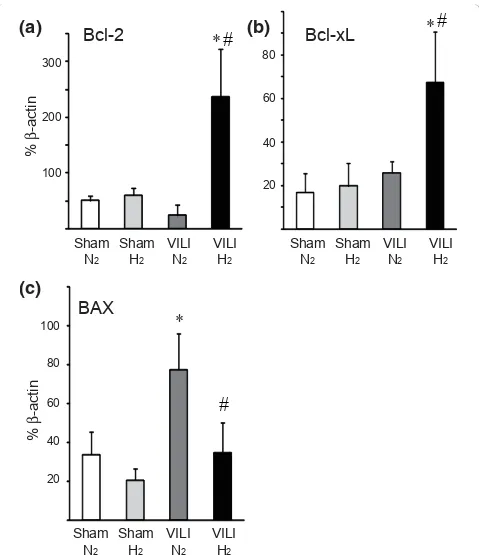 Figure 5 Quantitative reverse transcription-polymerase chain reaction for apoptosis-related genes in lung tissues with mechanicalventilation in the presence of 2% hydrogen in air (VILI/Hpercentage ofwith 2% nitrogen in air (VILI/Nventilation of higher tida