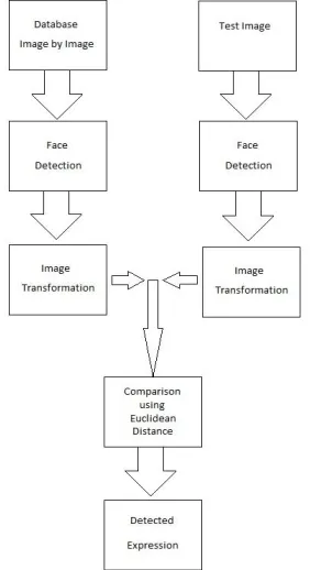 Figure 5: Brightness Corrected Image and Detected Face 