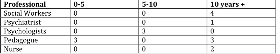 Table 3: Table of professional experience in Flanders (including students).  