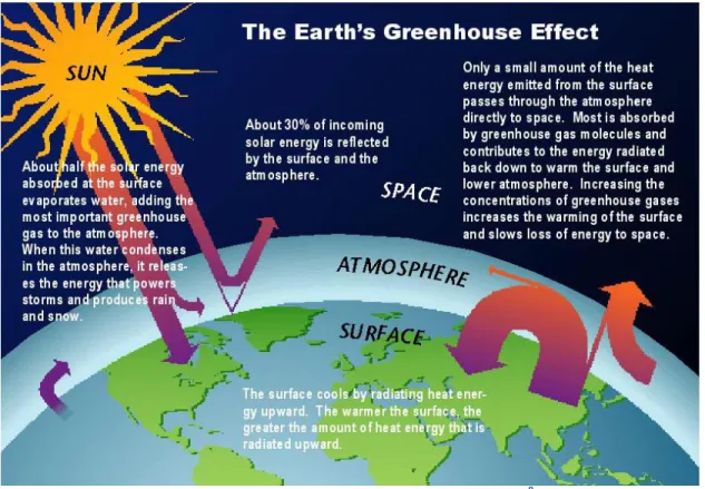 Figure 9: The Greenhouse Effect 8