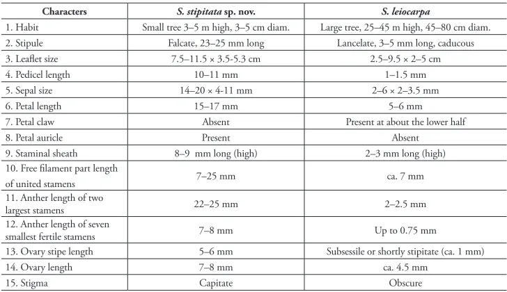 Table 1. Distinguishing features between S. stipitata Chatan & Promprom and S. leiocarpa de Wit.