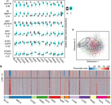 Figure 2. Differential expression spectra between tumors and normal tissues across the 13 cancer types.CVAA