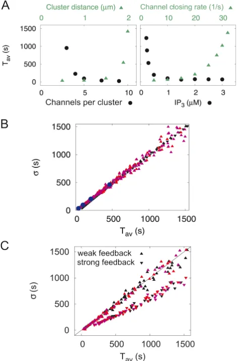 Figure 4: Ca2+ spikes are functionally robust. A: The average interspike interval Tav depends sensitively on cellular parameters