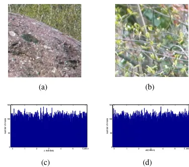 Fig. 1.(a)-(b) An image pair used in our experiment, (c) Image-based random number generator: histogram of 40,000 gradient orientationdifferences and (d) Histogram of 40,000 samples drawn from Matlab’srandom number generator.