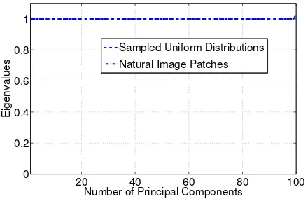 Fig. 3.The eigen-spectrum of natural images and the eigen-spectrum ofsamples drawn from Matlab’s random number generator.