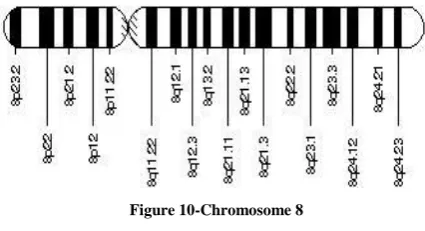 Figure 10-Chromosome 8 