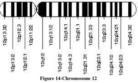 Figure 12-Chromosome 10 