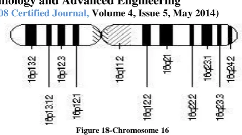 Figure 17-Chromosome 15 