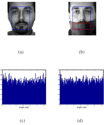 Figure 1. (a)-(b) A pair of faces from the AR database. The re-gion of interest is deﬁned by the blue rectangle